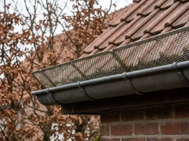 Rooster tegen bladeren op een dakgoot onder een pannendak