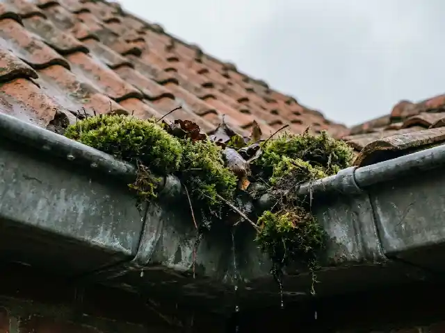 Dakgoot gevuld met afgespoeld mos en bladeren